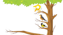 L'oiseau imaginaire